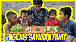 We did not find results for: Minum Jus Semua Jenis Sayur Pahit Ekspresi Mereka Kocak Youtube