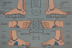 Foot Reflex Points Foot Reflexology Gold Coast Holistic