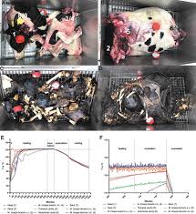 Alibaba.com offers 4,037 uni t t products. Technical And Anatomical Considerations For Reproducible Inactivation Of Large Animal Carcasses By Steam Sterilization Applied Biosafety