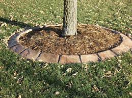Genuine Concrete Artisans Landscaping Around Trees Lawn And Garden Garden Edging