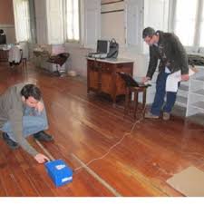 The wood, and our client. Pdf Assessment Of Timber Floors By Means Of Non Destructive Testing Methods