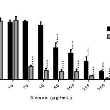 Image result for Lantana ukambensis
