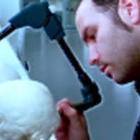 PDF) A morphometric analysis of the frontal squama in fossil and recent  humans.