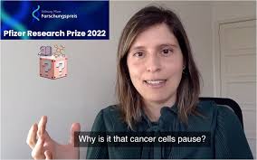 Ana Luísa Correia awarded 2022 Pfizer Research Prize