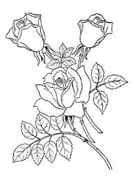 Ausmalbilder Rosen 1 Kostenlos Ausdrucken