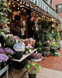 Check spelling or type a new query. The Flower Shopkeepers On Instagram Spring Flowers In October At Rouvalis Flowers Boston Kimmyn Flo Flower Shop Interiors Flower Shop Flower Shop Decor