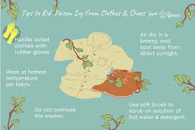 Wash Poison Ivy From Clothes And Shoes To Prevent Itching Poison Ivy Poison Ivy Remedies Washing Clothes