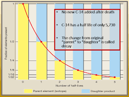 5,6 and in every case ages of between 9,800 and 48,800 years were obtained. Carbon 14 Abundant In Dinosaur Bones Evolution Is A Myth