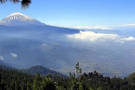 Check spelling or type a new query. Teneriffa La Esperanza