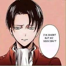 Whoa Chill Boy Capitao Levi Attack On Titan Anime Meme