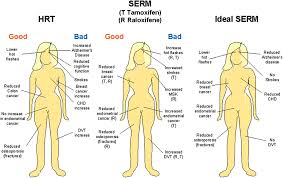 Image result for Selective Estrogen Receptor Modulator