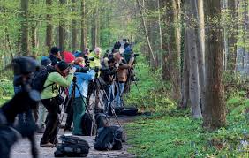 The first thing you should know is that hallerbos is a public forest. Bluebell Mania In Hallerbos Photographers Compete For The Best Spots Download Scientific Diagram