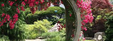 This offer is not valid in conjunction with any other cashback or voucher code promotion which isn't different types of flowers will need different kinds of care instructions. Specials And Family Vacation Getaway Packages At Our Cape Cod Ma Hotel