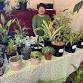 November growers and makers Market event image