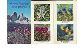 We did not find results for: Alpine Flowers And Plants V 3 Zig Zag Books 9780723209270 Amazon Com Books