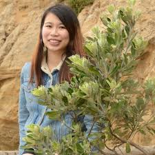 Rosalie Chan Rosaliechan17 Twitter