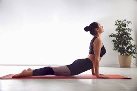 In a simple word, the meaning of asana is 'to seat'. Five Yoga Asanas That Can Help You Stay Fit And Healthy During Work From Home Samachar Central