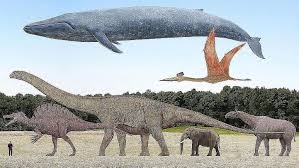 we posed these prehistoric animals next to human beings