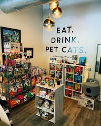 Patrons pay a small cover fee and go into a separate room to play with and hang out with a bunch of free roaming. Our Retail Space Is Open We Just Sip Purr Cat Cafe Facebook