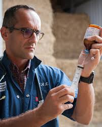 rvcequine return to the Talk Horse Live Zone