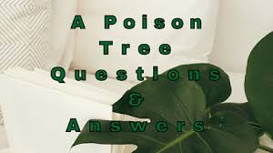 The apple has become poisonous as it has been nurtured with anger. A Poison Tree Questions Answers Wittychimp