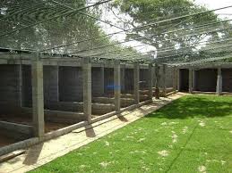 Bird Aviary For Sale Gauteng Pin By Bob Mihailovic On Pigeon Coops Bird Aviary Pigeon Loft Bird House