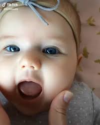 In home couples session with cat.