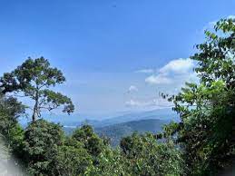 Gunung angsi is a 8.0 kilometer moderately trafficked out and back trail located near seremban, negeri sembilan, malaysia that features beautiful wild flowers and is rated as difficult. Good For Beginner Climber Review Of Gunung Angsi Seremban Malaysia Tripadvisor
