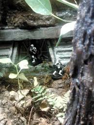 Bunker Mist Fogger Detail Star Wars Vivarium Build Vivarium Star Wars Terrarium Diy