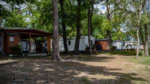 Hier sehen sie unseren garten. Ostsee Campingplatz Und Garten So Wird Der Sommerurlaub 2020 Aussehen Reise