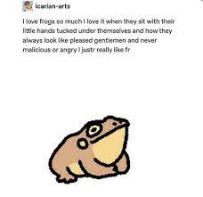 Pin By Camille On Memes Frog And Toad Frog Pictures Cute Frogs