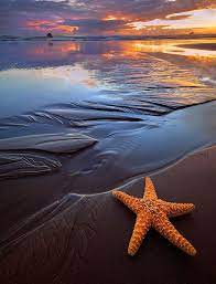 A Collection Of Breathtaking Images Of Beaches Beautiful Beaches Ocean Beach
