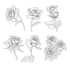 Maybe you would like to learn more about one of these? Sketsa Bunga Mawar Menggambar Tangan Gambar Mawar Gambar Bunga