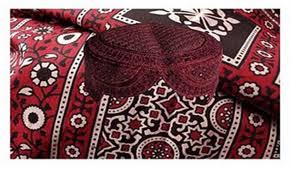 Image result for sindhi culture day history