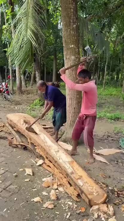 Fabrication traditionnelle de pirogues en bois