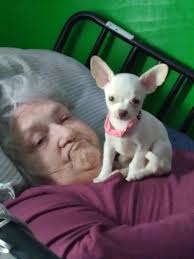 Obituary for Mary Elaine (Olson) Cheney