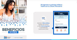 En esta nueva columna corresponde informar aquellas cotizaciones previsionales obligatorias y voluntarias que hayan rebajado la renta neta pagada o sean de cargo del empleador, y que no se encuentren informadas en las otras columnas (renta total neta pagada, rentas totales exentas, rentas totales no gravadas, etc.), como, por ejemplo, cotizaciones previsionales y de salud. Servicio De Impuestos Internos Sii Chile Fotos Facebook