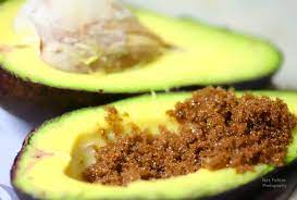 Home » buah buahan » 8 cara menanam alpukat dari biji dengan pot (mudah). 7 Resipi Ini Bakal Buat Anda Menikmati Avokado Dengan Cara Yang Berbeza