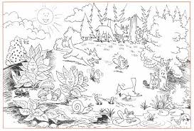 You can introduce the child to different animals in coloring pages on our website. Desert Animals Drawing Easy Novocom Top