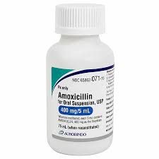 Image result for Amoxicillin