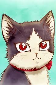 Is Doukyonin Wa Hiza Worth Your Time Anime Shelter Anime Cat Wallpaper Anime Animals