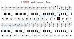 Beschrifte deine klaviatur, um leicht noten lernen zu können schritt 6 hier findest du die aufkleber bei amazon. Notenaufkleber Fur Keyboard Bis Zu 61 Tasten