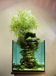 Decoration D Aquarium Biologique Grand Volume Sur Paris Et La France Indoor Water Garden Aquarium Aquascape Aquarium