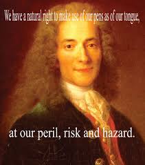 Voltaire Voltaire Voltaire Quotes Inspirational People