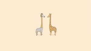 Cute Giraffe Zebra Wallpaper Best Hd Wallpapers Funny Giraffe Pictures Giraffe Pictures Cute Giraffe