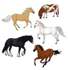 Drawing tutorials for kids and beginners. Sketchbook Original How To Draw Horses Monika Zagrobelna