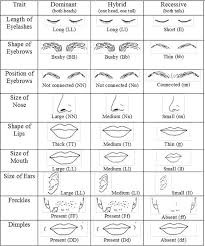 Recessive Dominant Trait Activity Teaching Biology Biology Classroom Biology Lessons