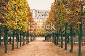 Beautiful Autumn In Jardin Des Tuileries In Paris Paris France Photos Paris Photos France Photos