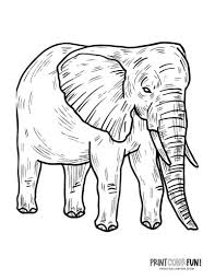 For boys and girls kids and adults teenagers and toddlers preschoolers and older kids at school. 6 Realistic Elephant Coloring Pages To Print Print Color Fun
