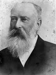 Hugh Muir Nelson MLC (1833-1906)